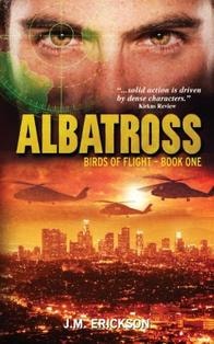 Birds of Flight